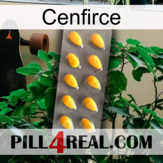 Cenfirce cialis1